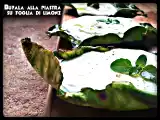 Ricetta Mozzarella alla piastra su foglia di limone