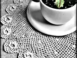Ricetta Panna cotta al cioccolato con salsa di mirtilli al basilico