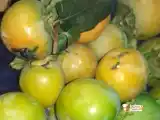 Ricetta Torta ai cachi