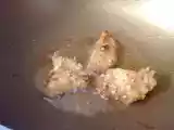 Ricetta Mini cotolette di pollo croccanti con nocciole