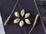 Ricetta Sorpresine, come fare in casa questo formato di pasta all'uovo