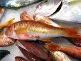 Ricetta Brodo di pesce