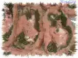 Ricetta Girelle di polpettone agli spinaci