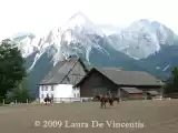 Ricetta Zugspitze arena e dintorni e... spätzle agli spinaci con bacon e crème fraiche