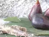 Ricetta La bruschetta del pescatore
