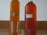 Ricetta Liquore di fichi d'india