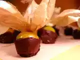 Ricetta Alchechengi glassati al cioccolato