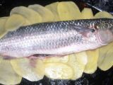 Ricetta Orata (branzino) in crosta di patate