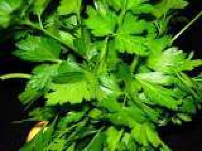 Salsa verde deliziosa ........... per bolliti