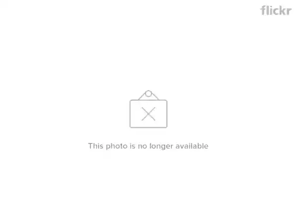 Ricetta Gelato alla lavanda, rosa, fior d'arancio, miele e rosolio