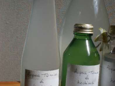 Ricetta Acqua tonica di hechima (luffa)