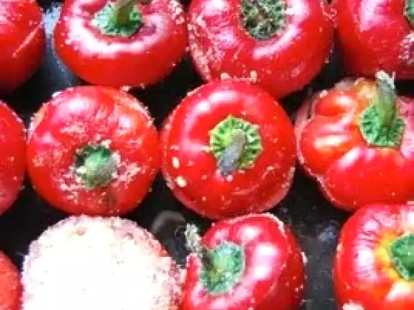 Ricetta Peperoni rossi tondi ripieni di carne