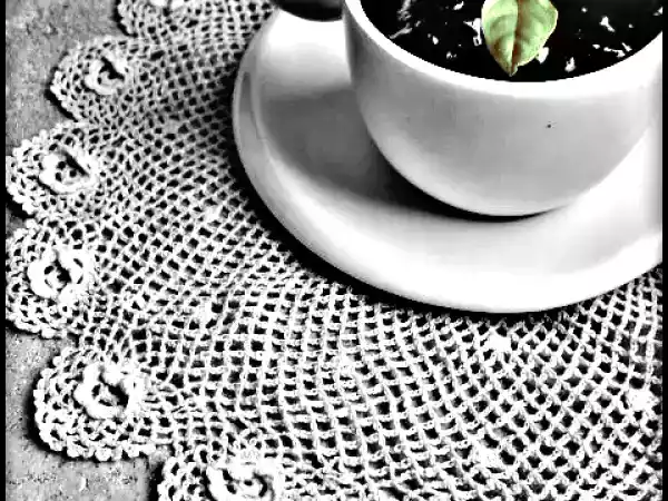 Ricetta Panna cotta al cioccolato con salsa di mirtilli al basilico