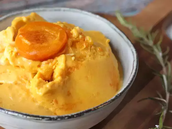 Ricetta Gelato alle albicocche arrostite con la ninja creami