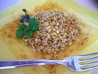 Ricetta Primo crudista di germogli di lenticchie piccanti con paprika e curry