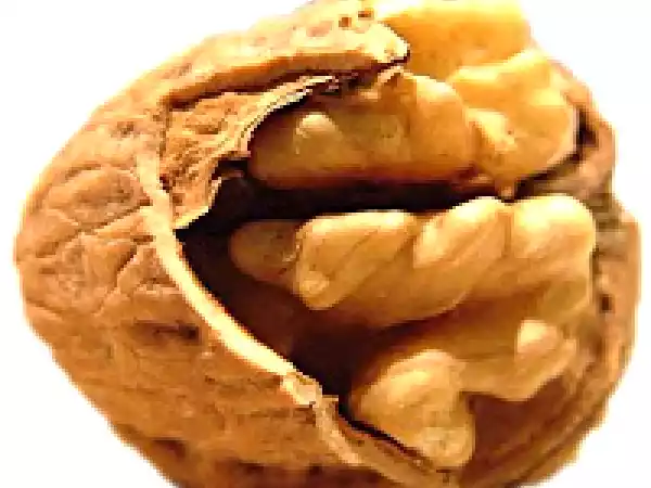 Ricetta Rotolo alle noci