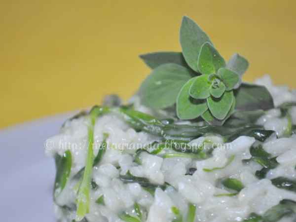 Ricetta Risotto della luna. le erbe del passato.