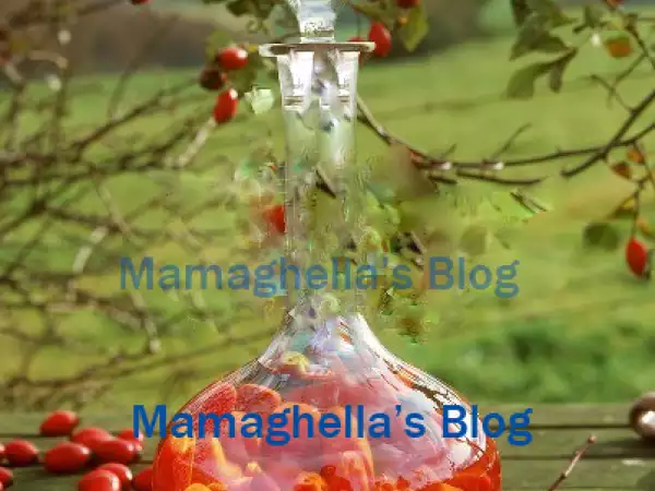 Ricetta Liquore alla rosa canina (nonna annetta scaramella)