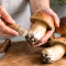 Funghi porcini