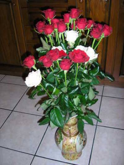 alialexa2006