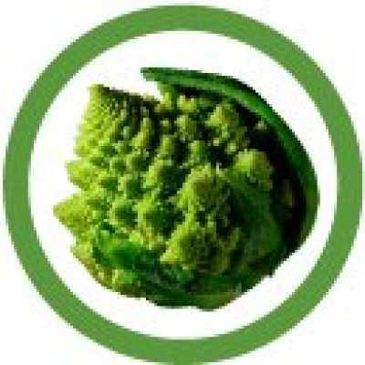 labandadeibroccoli