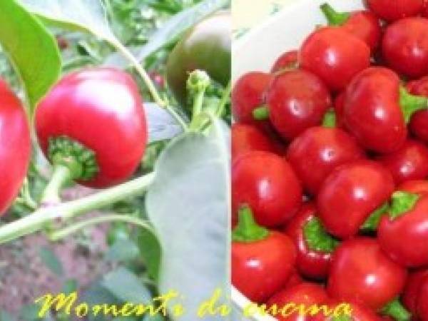 Peperoncini piccanti ripieni con capperi e acciughe - Preparazione tappa 1