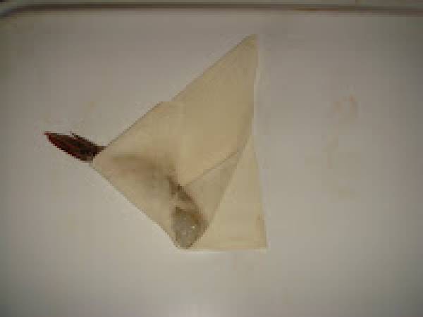 Gamberi in pasta spring roll - Preparazione tappa 2