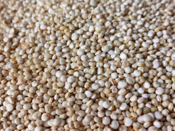 Polpette di quinoa e porcini - Preparazione tappa 1