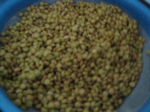 Lenticchie e salsicce: piatto unico ideale per l'inverno - Preparazione tappa 1