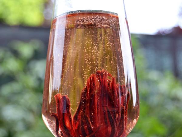 Sciroppo ai Fiori di Ibisco e Bacche di Goji - Preparazione tappa 6