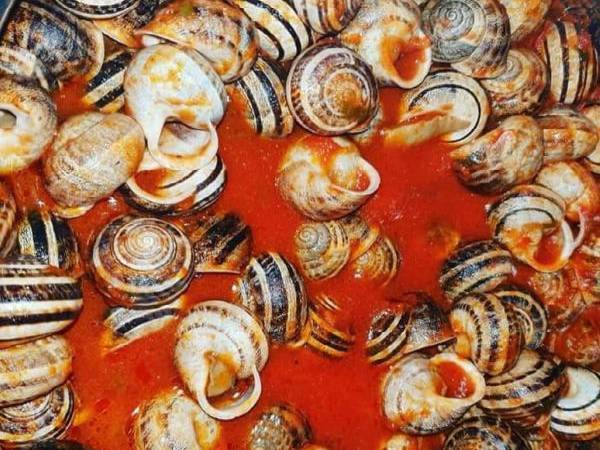 Lumache al sugo di pomodoro - Preparazione tappa 5