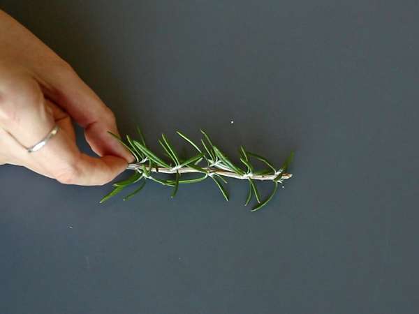 Cocktail di Natale con alberello innevato: versione alcolica ed analcolica da provare - Preparazione tappa 1