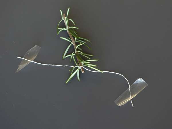 Cocktail di Natale con alberello innevato: versione alcolica ed analcolica da provare - Preparazione tappa 3