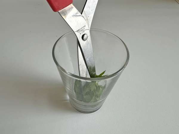 Crostini di pane nella friggitrice ad aria croccanti e veloci: ricetta facile - Preparazione tappa 3