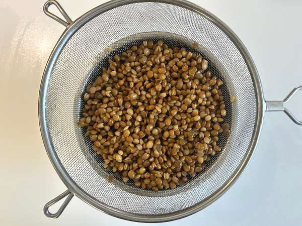 Insalata proteica di lenticchie con cottage cheese facile e veloce - Preparazione tappa 1