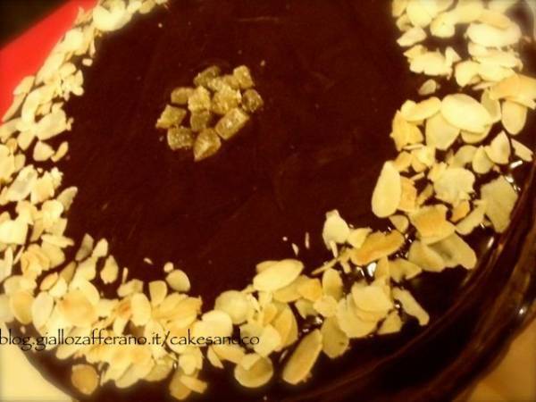 Torta allo zenzero - Preparazione tappa 6