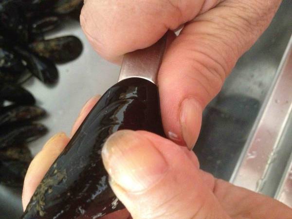 COZZE GRATINATE - Preparazione tappa 3