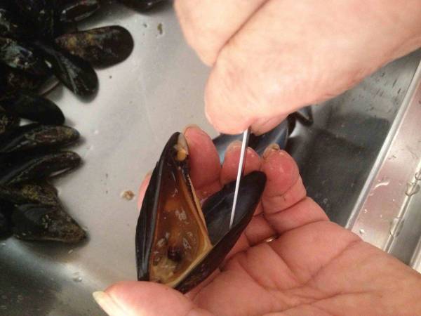 COZZE GRATINATE - Preparazione tappa 4