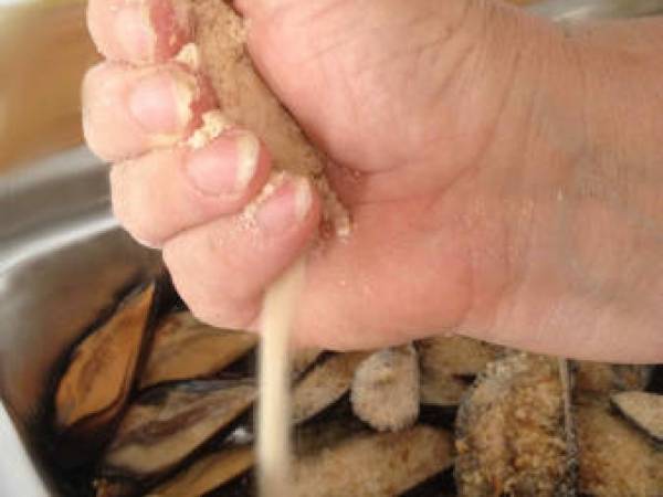 COZZE GRATINATE - Preparazione tappa 6