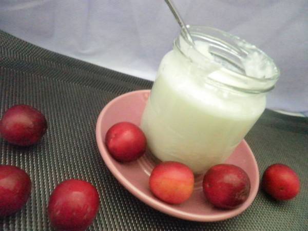 Yogurt Naturale fatto in casa con latte di Capra - Preparazione tappa 1