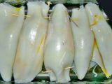 Tappa 3 - Calamari ripieni (ricetta classica)