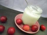 Tappa 1 - Yogurt Naturale fatto in casa con latte di Capra