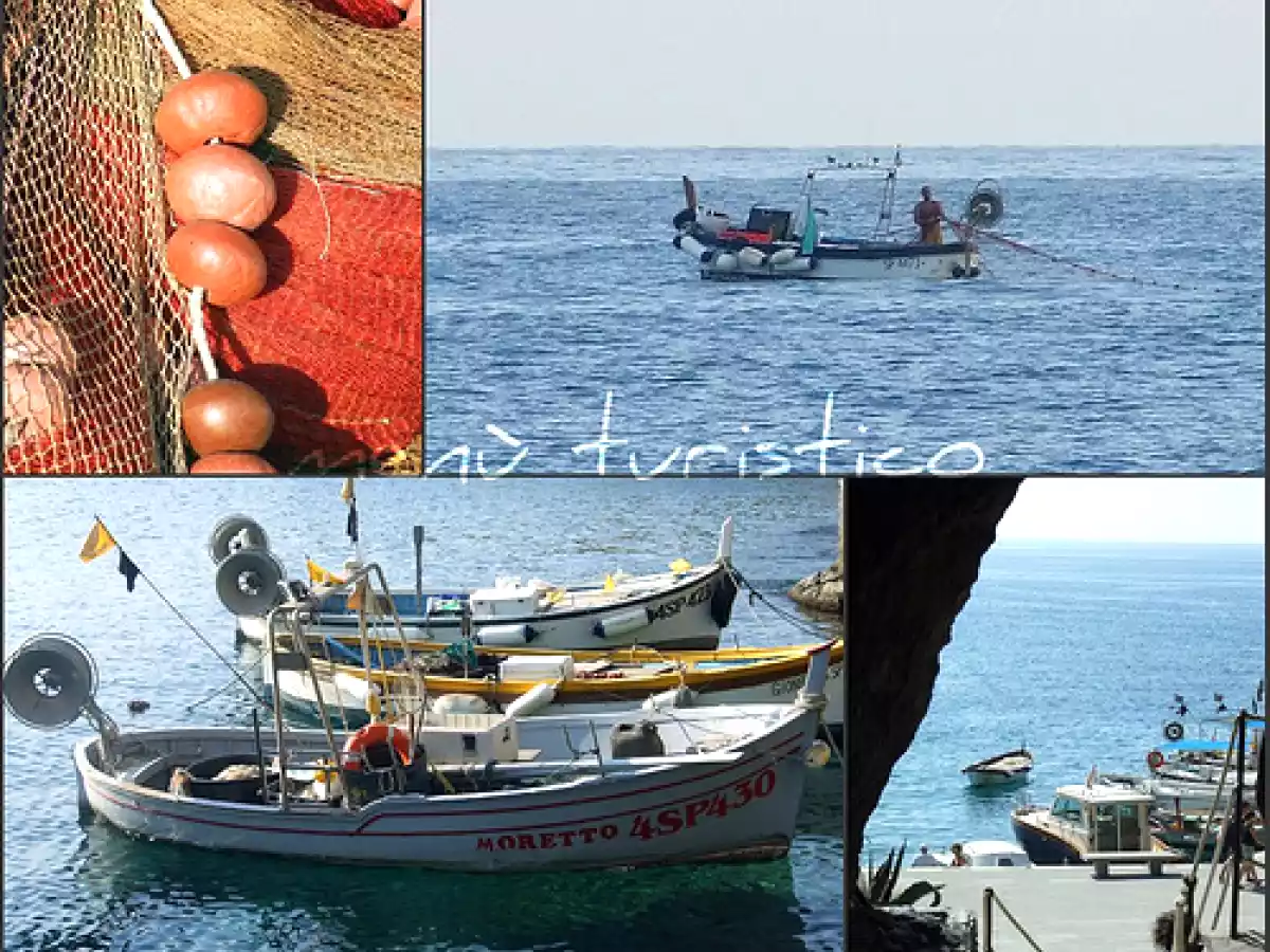 Acciughe di Monterosso sotto sale!! - foto 8