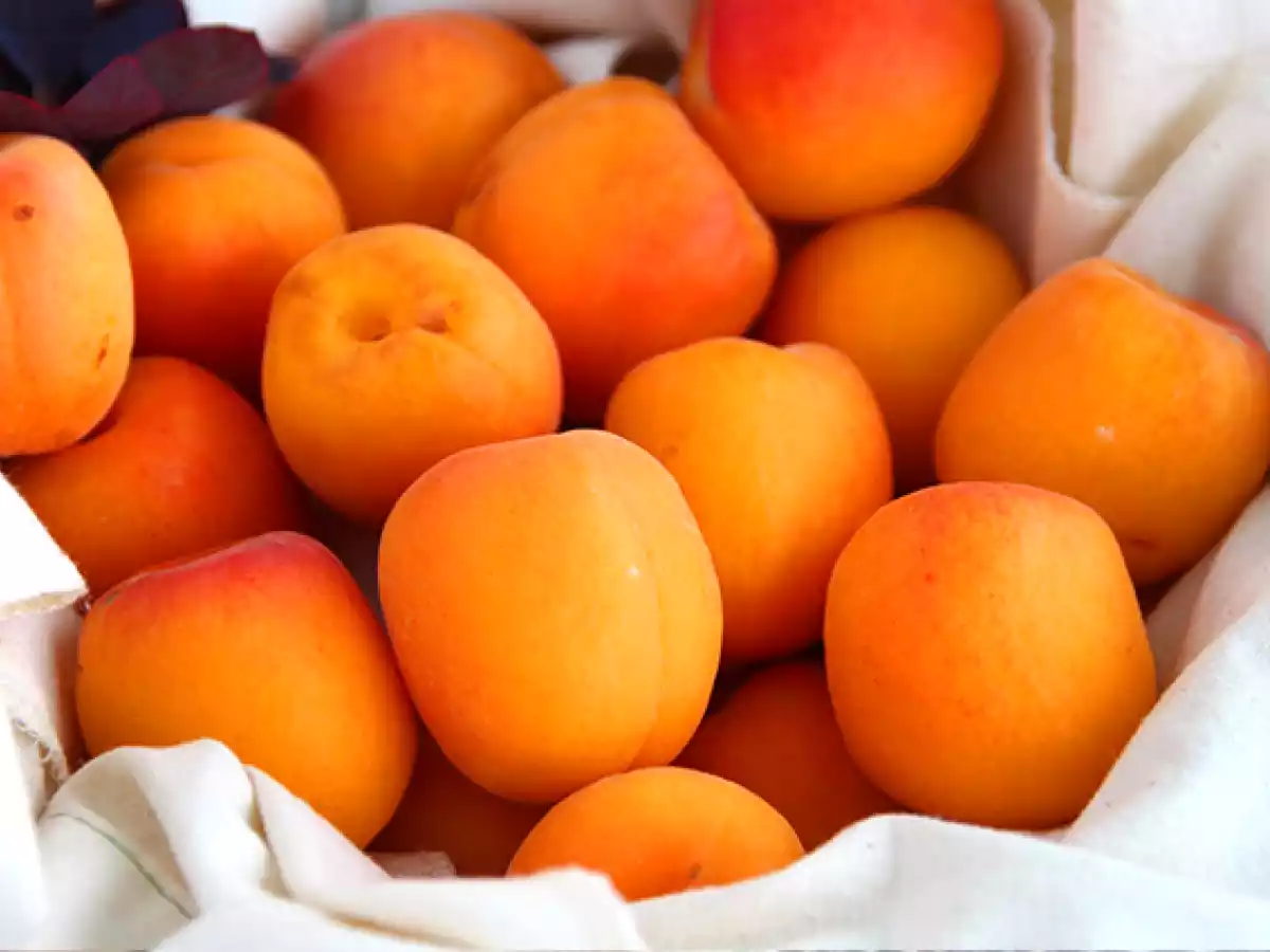 Albicocche ripiene con tonno e rosmarino - foto 6