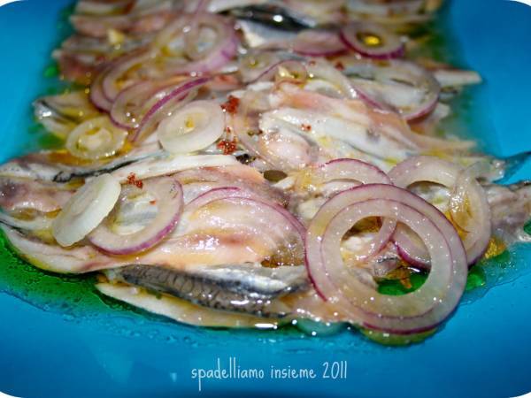 Alici Marinate Con Succo D Arancia E Limone Con Cipolle Di Tropea Ricetta Petitchef