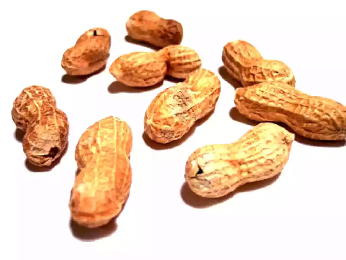 Biscotti alle Arachidi col Bimby