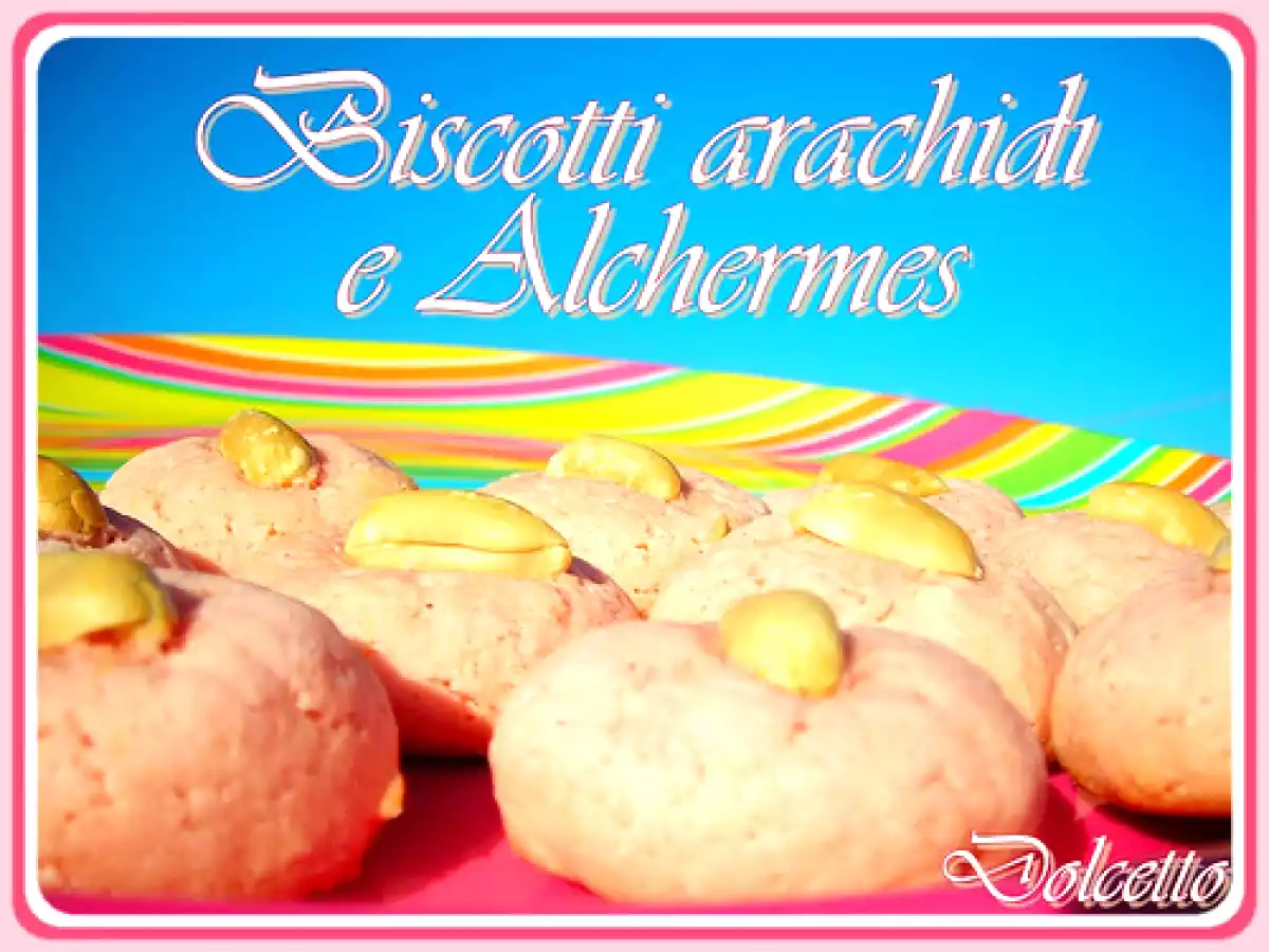 BISCOTTI ARACHIDI E ALCHERMES - foto 3
