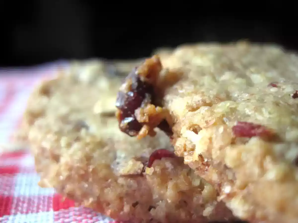 Biscotti Grancereale con fiocchi d' avena e mirtilli rossi secchi - foto 2