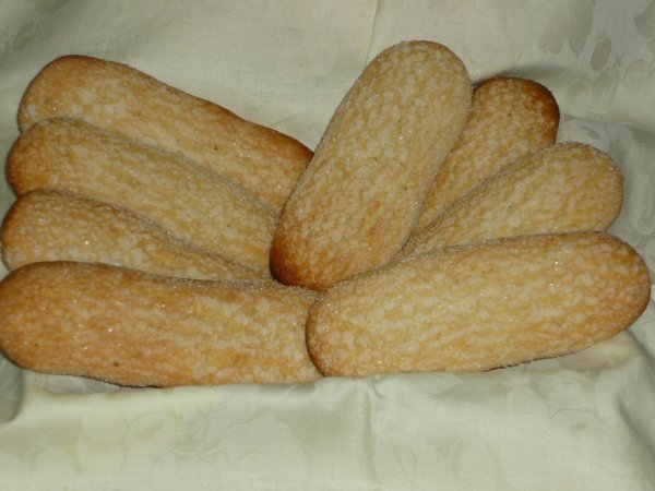 Biscotti secchi. Gallettinas