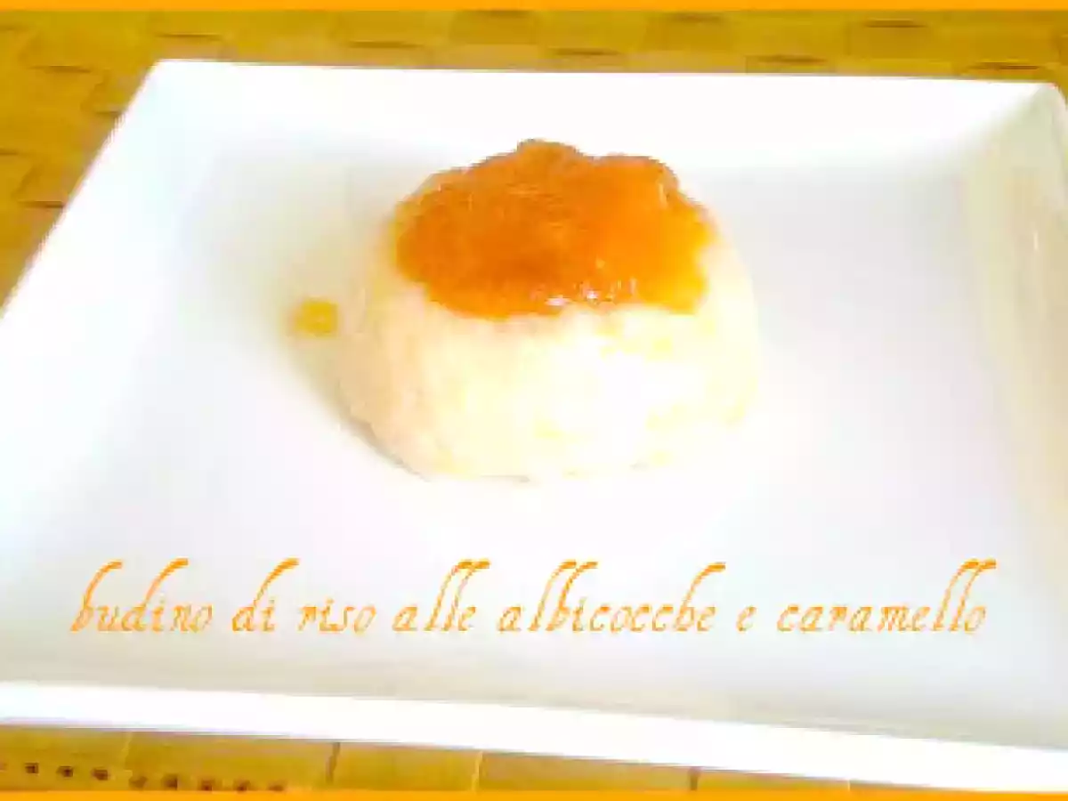 BUDINO DI RISO ALLE ALBICOCCHE E CARAMELLO - foto 2